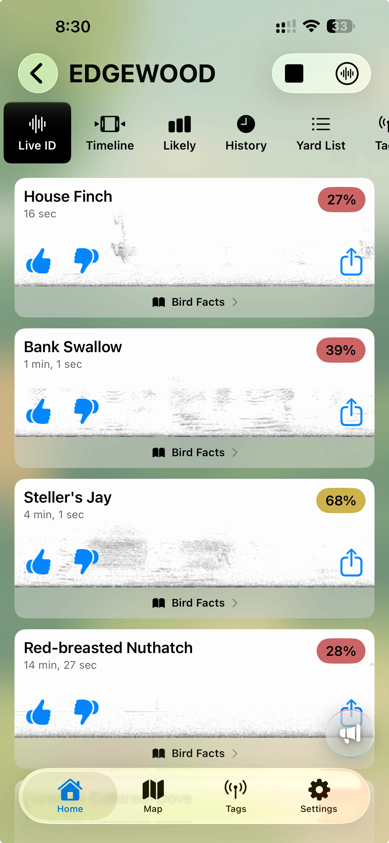 Optionally watch spectrograms appear on the fly as IDs come in