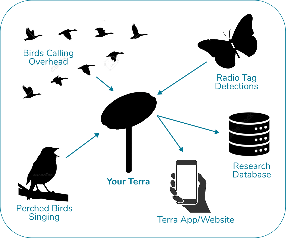 How Terra works - detecting sounds and radio transmitters